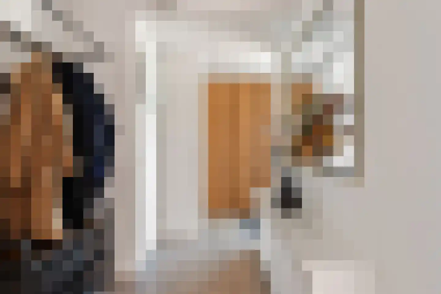 Veeringzoom 24 Koog aan de Zaan thumbnail 12