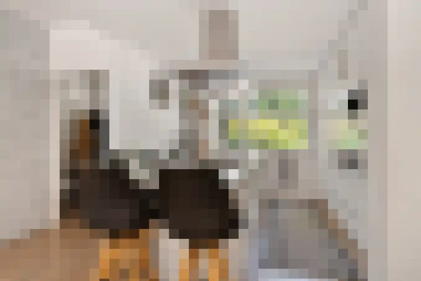 Veeringzoom 24 Koog aan de Zaan thumbnail 16