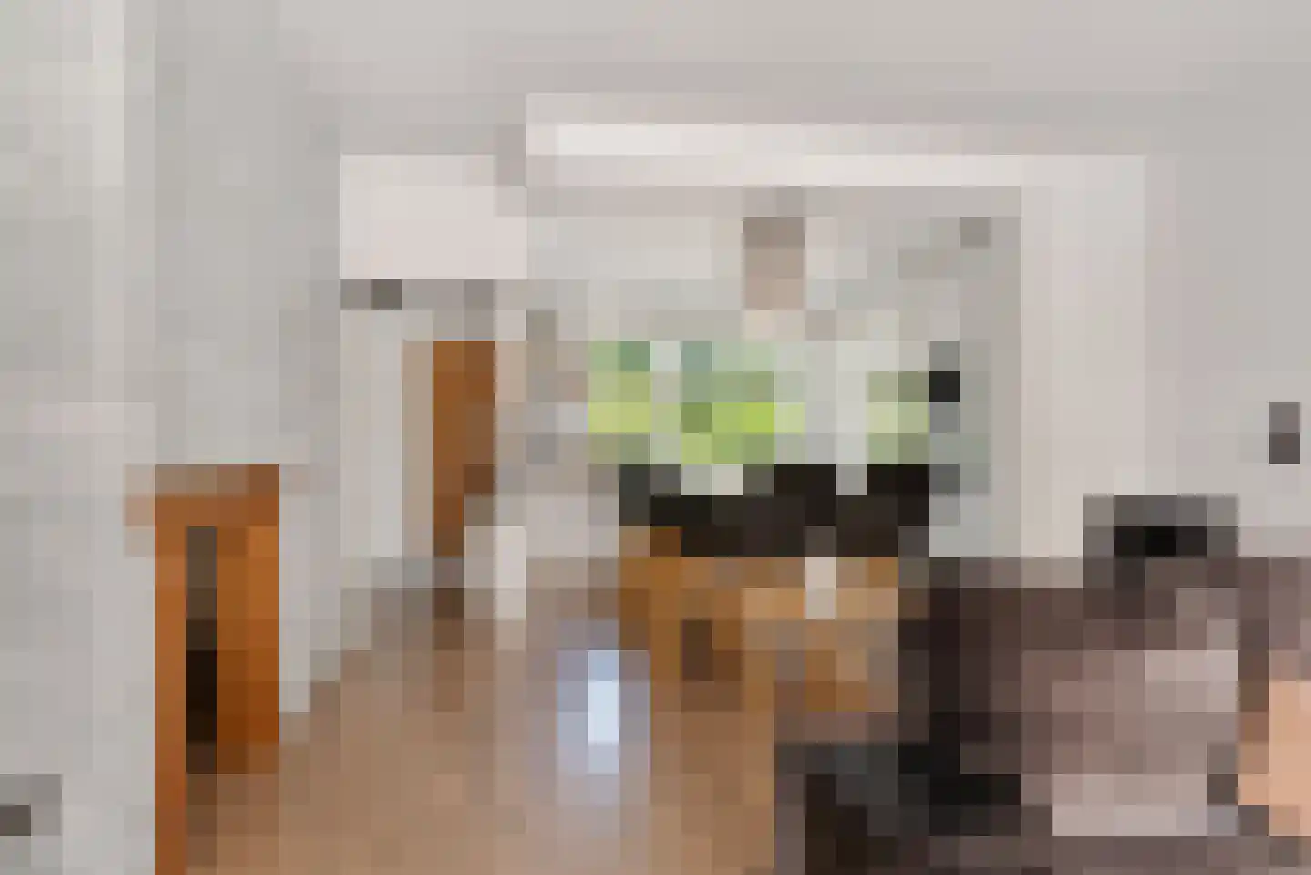 Veeringzoom 24 Koog aan de Zaan thumbnail 19