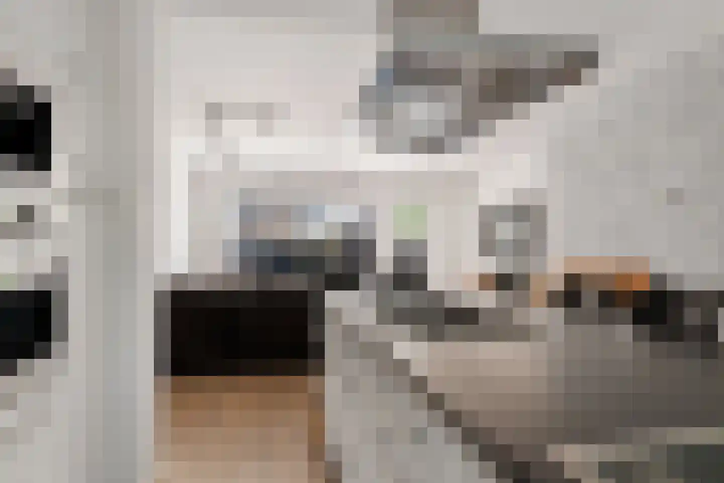 Veeringzoom 24 Koog aan de Zaan thumbnail 20