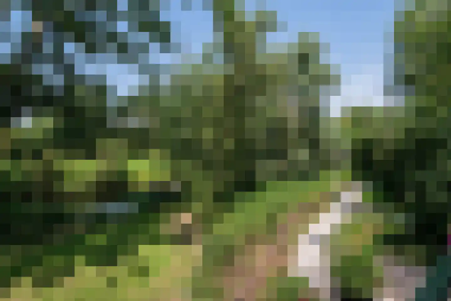 Veeringzoom 24 Koog aan de Zaan thumbnail 31