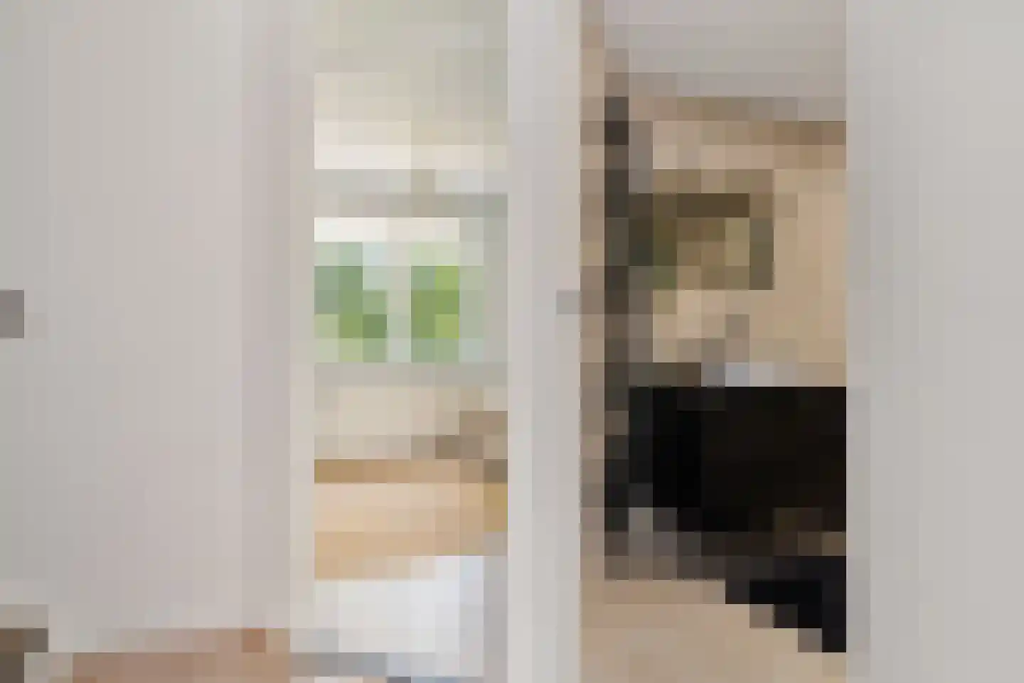 Veeringzoom 24 Koog aan de Zaan thumbnail 34
