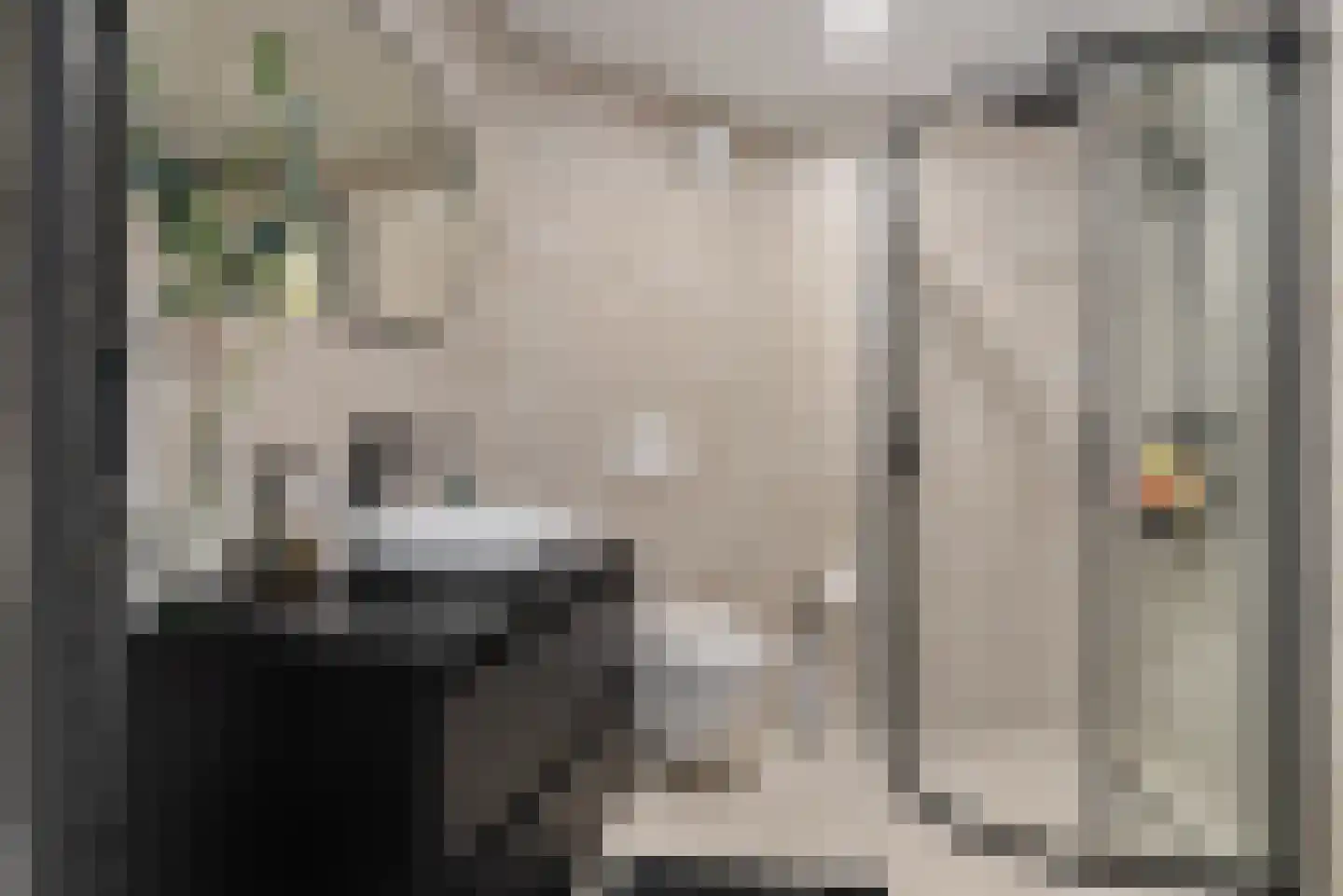 Veeringzoom 24 Koog aan de Zaan thumbnail 35