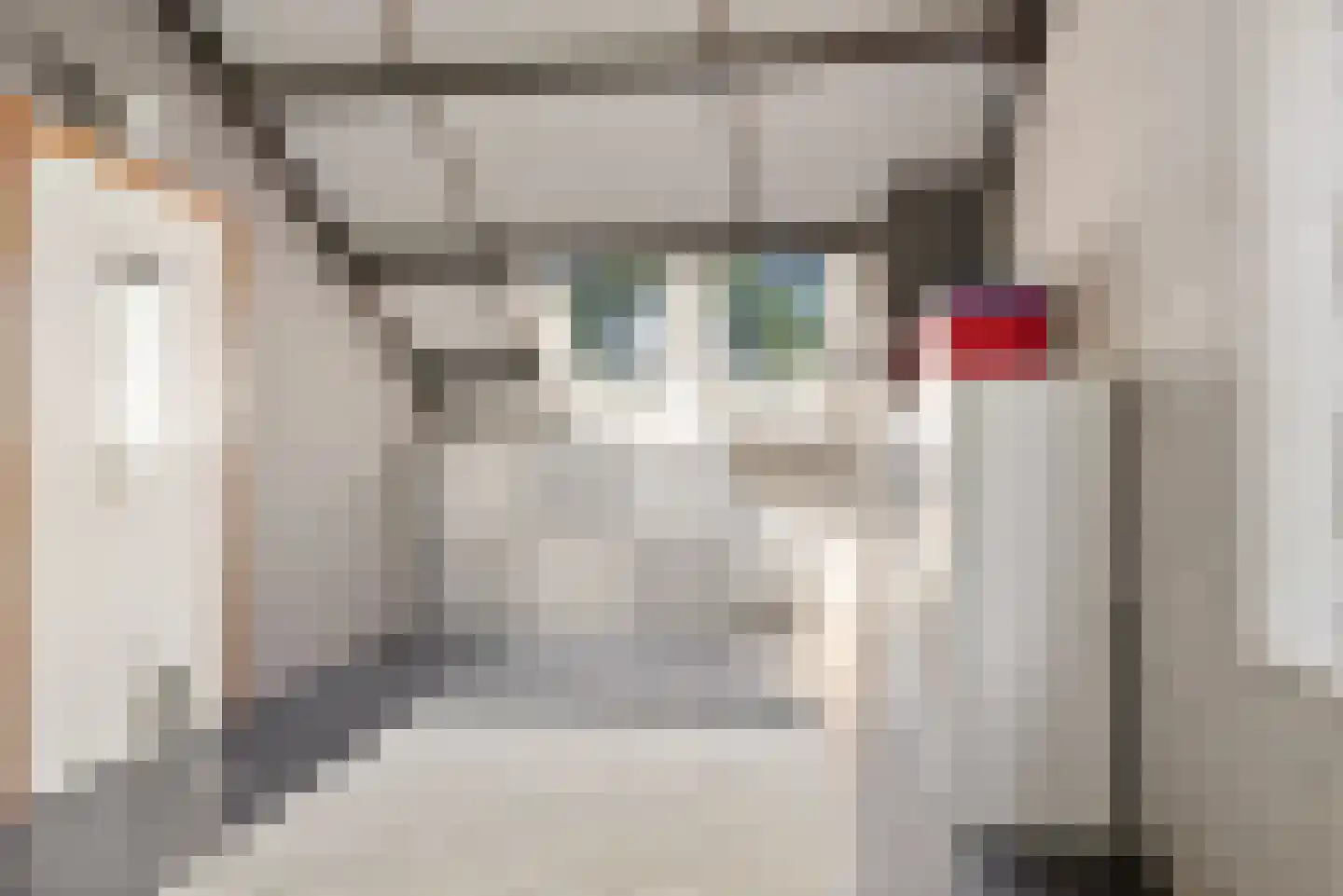 Veeringzoom 24 Koog aan de Zaan thumbnail 37