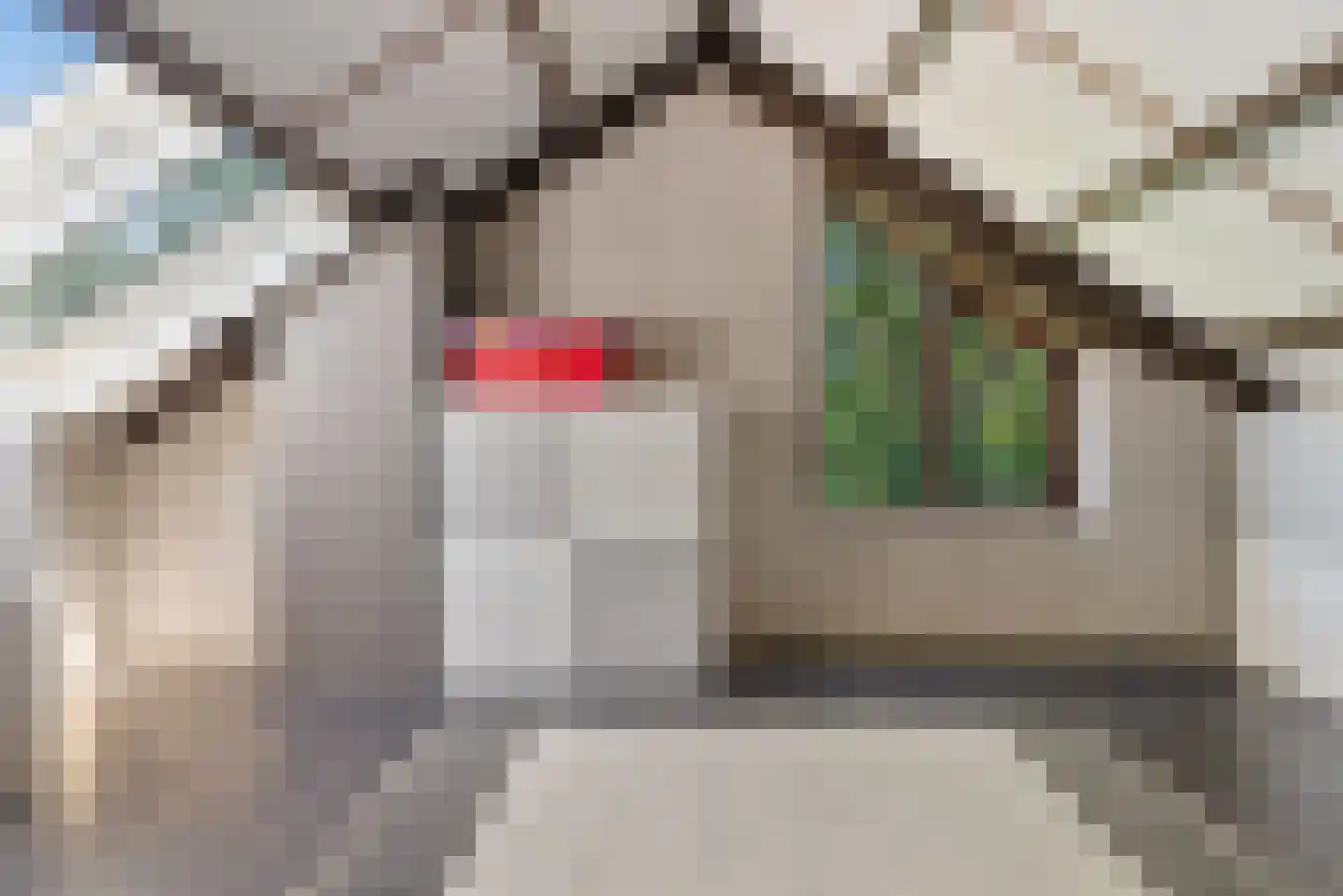 Veeringzoom 24 Koog aan de Zaan thumbnail 39