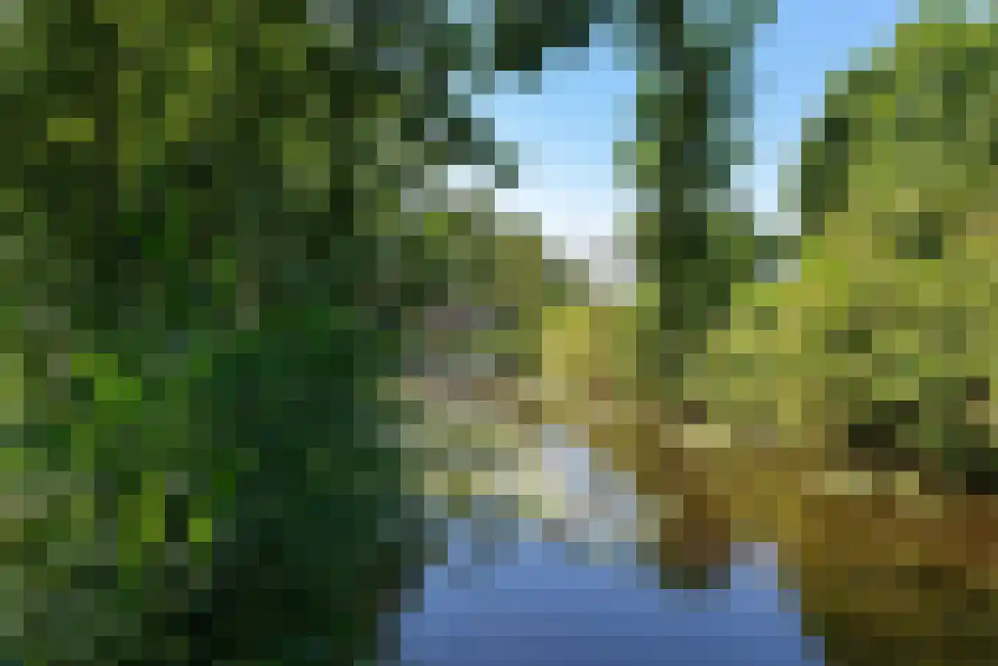 Veeringzoom 24 Koog aan de Zaan thumbnail 4