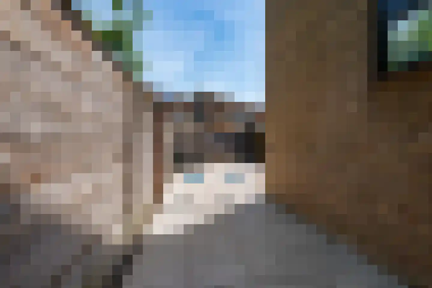 Veeringzoom 24 Koog aan de Zaan thumbnail 48