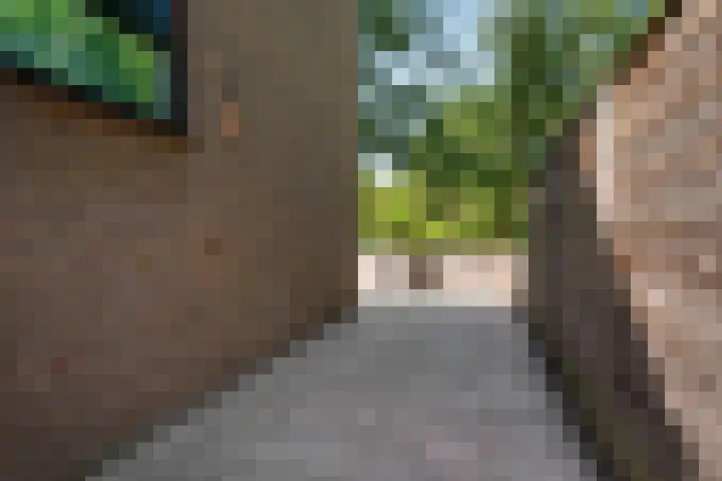 Veeringzoom 24 Koog aan de Zaan thumbnail 49