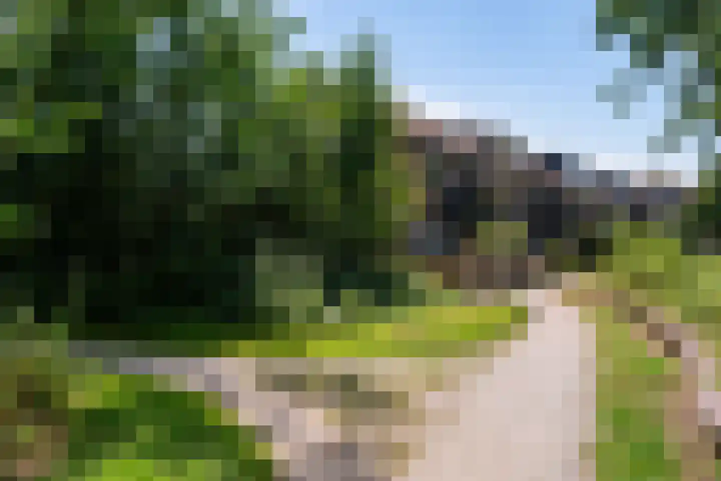 Veeringzoom 24 Koog aan de Zaan thumbnail 6