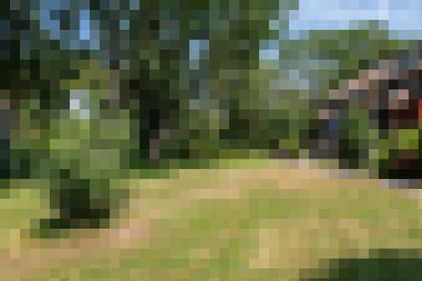 Veeringzoom 24 Koog aan de Zaan thumbnail 7