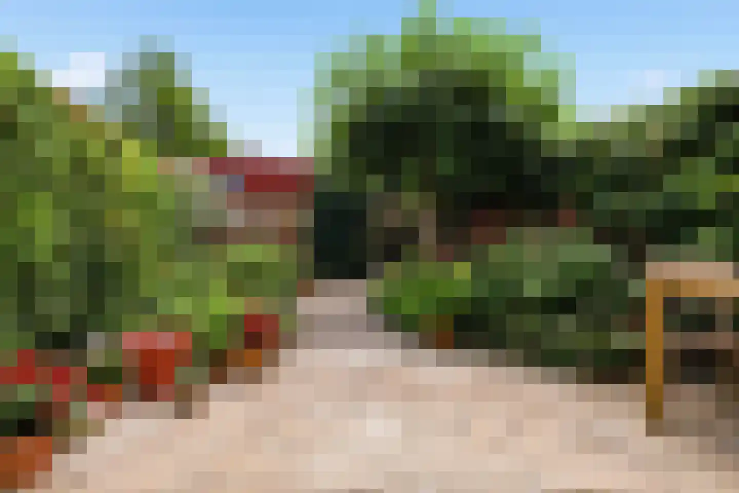 Veeringzoom 30 Koog aan de Zaan thumbnail 13