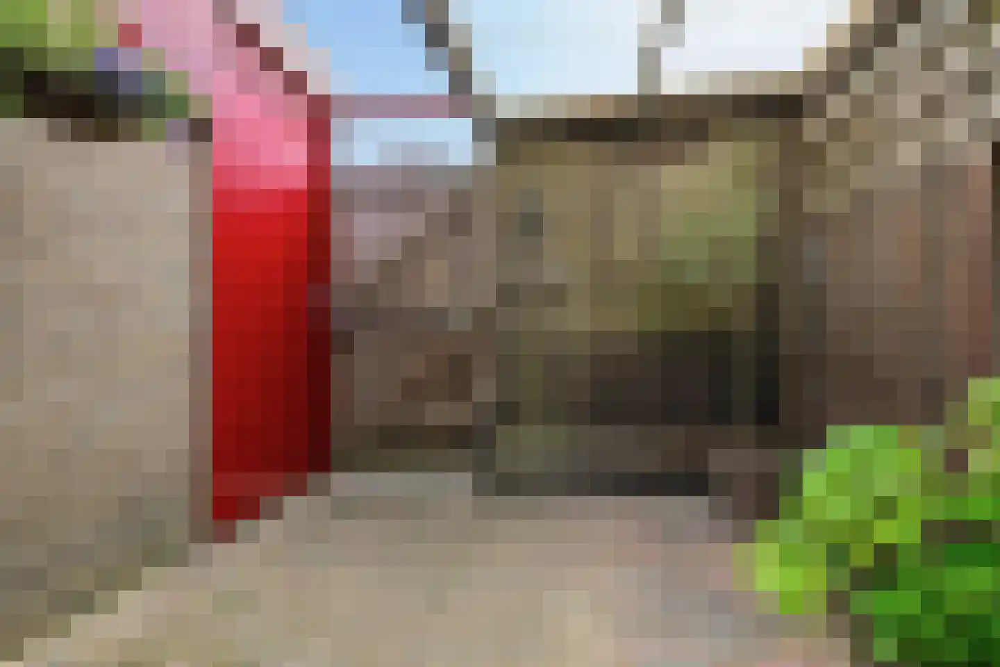 Veeringzoom 30 Koog aan de Zaan thumbnail 14