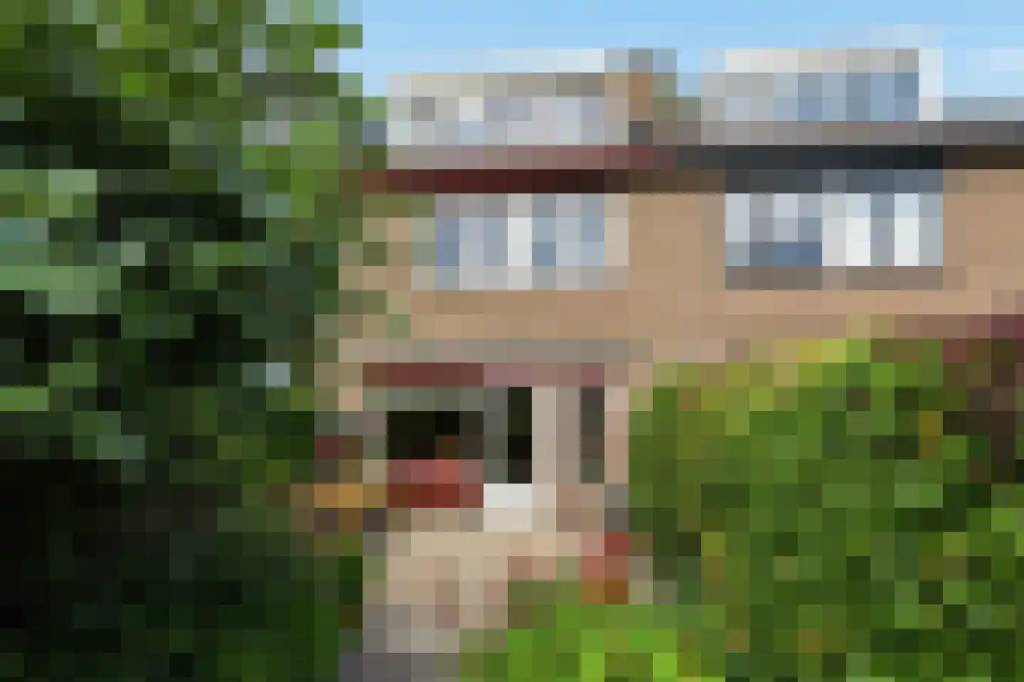 Veeringzoom 30 Koog aan de Zaan foto 2