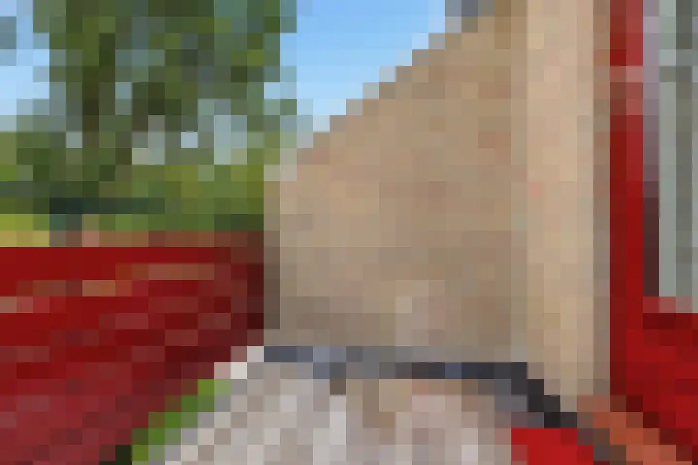 Veeringzoom 30 Koog aan de Zaan thumbnail 21