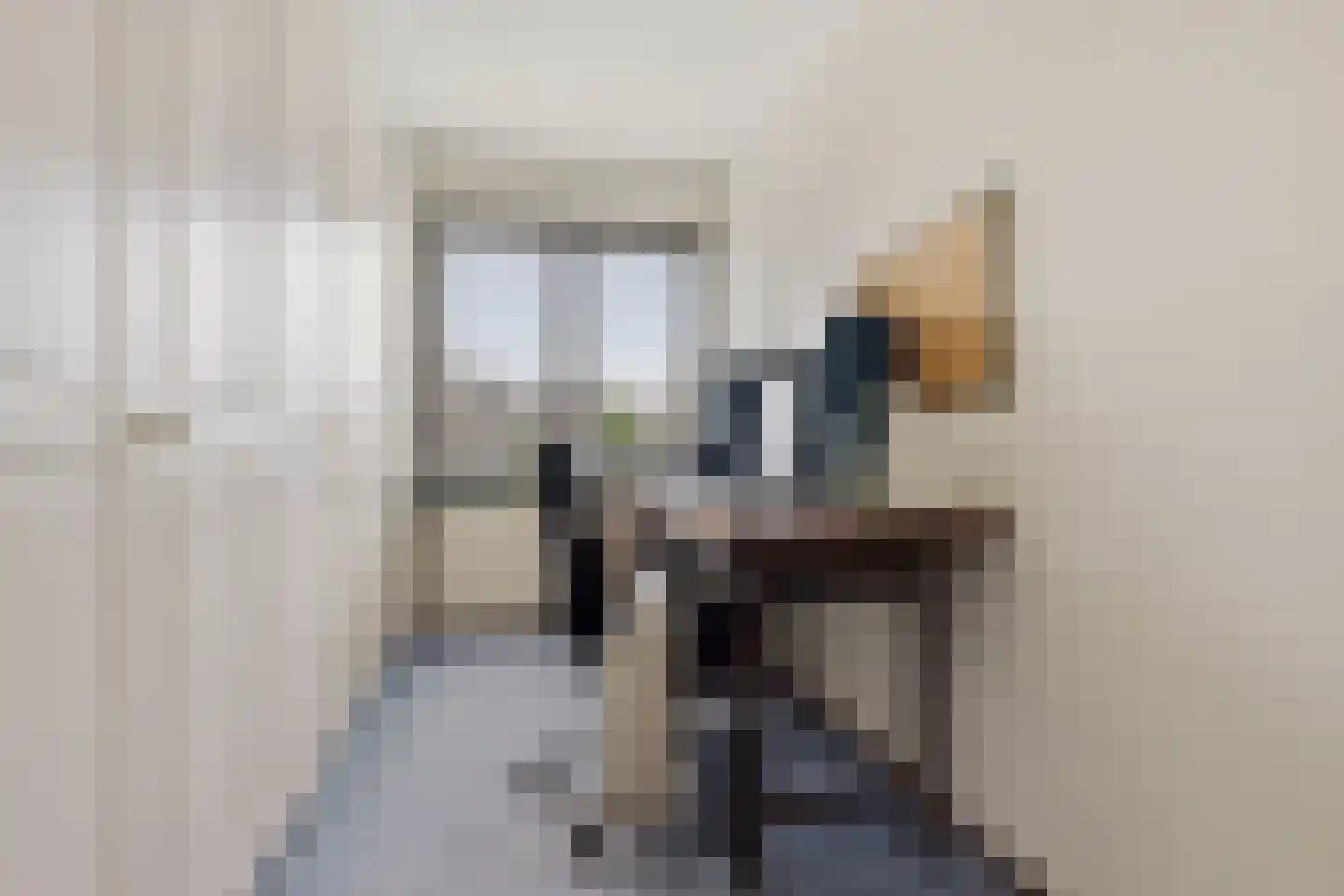 Veeringzoom 30 Koog aan de Zaan thumbnail 23