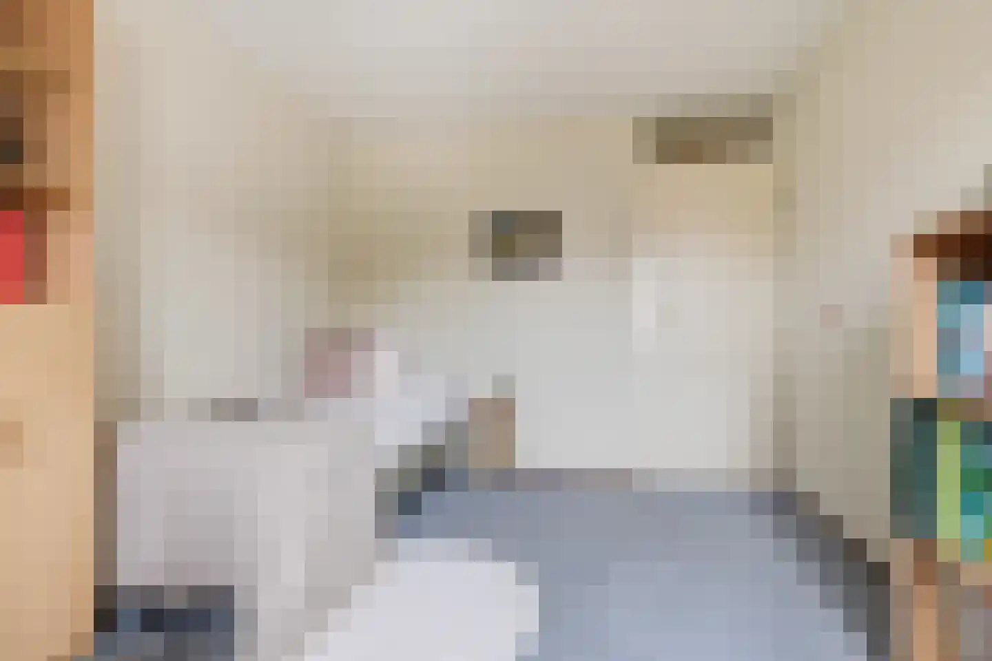 Veeringzoom 30 Koog aan de Zaan thumbnail 26