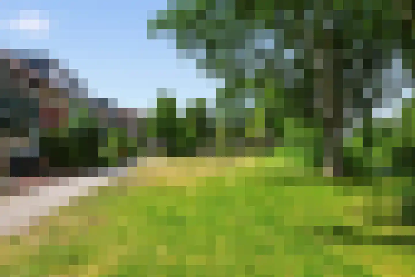 Veeringzoom 30 Koog aan de Zaan foto 3