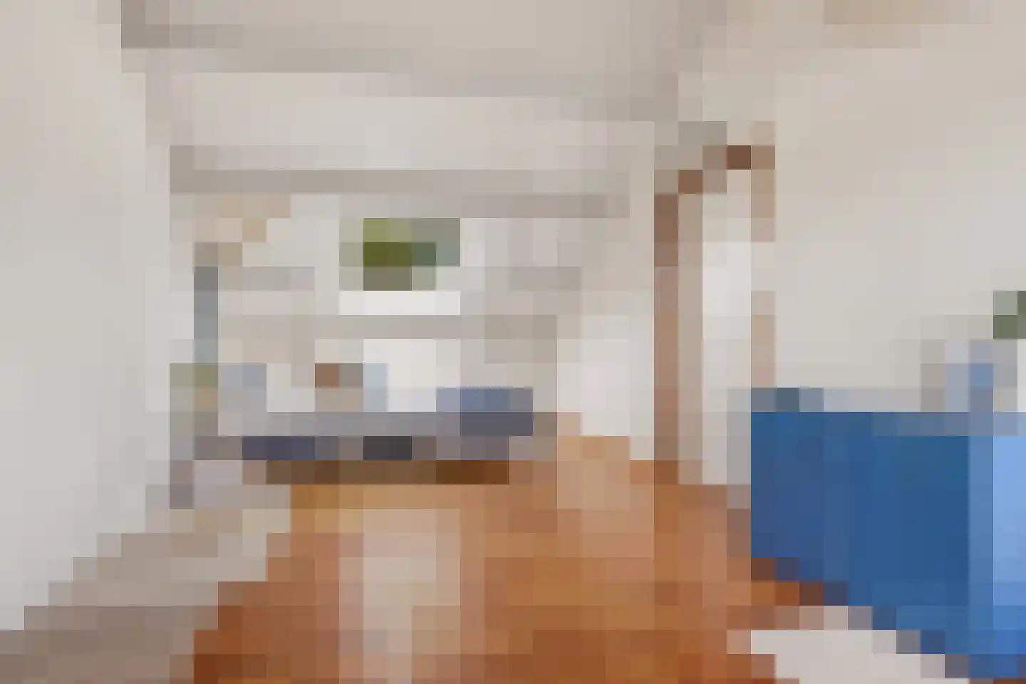 Veeringzoom 30 Koog aan de Zaan thumbnail 30