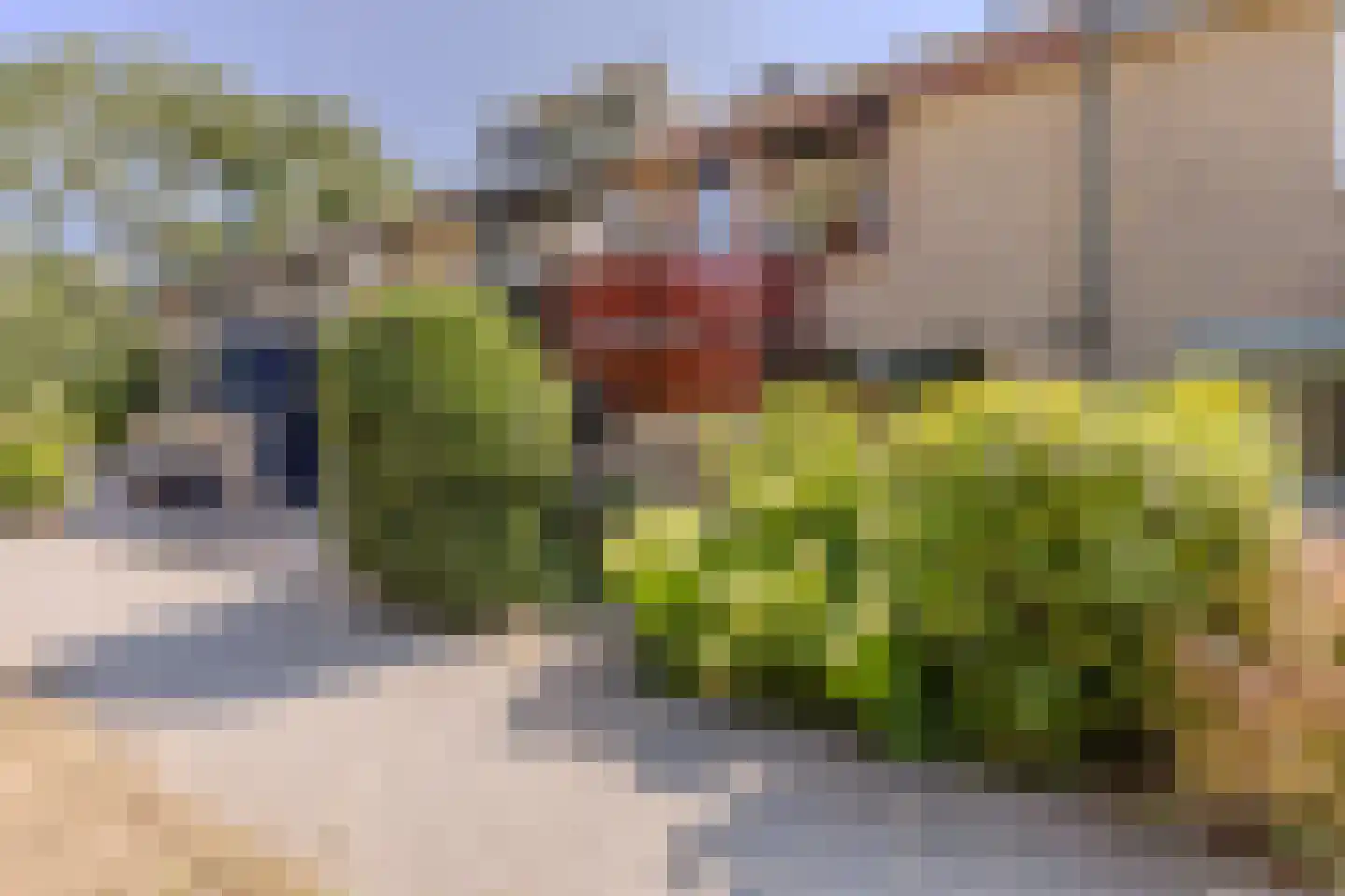 Veeringzoom 30 Koog aan de Zaan thumbnail 35