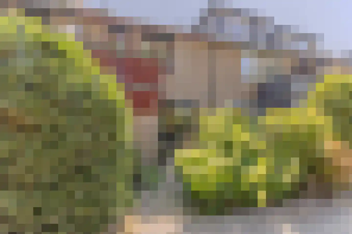 Veeringzoom 30 Koog aan de Zaan thumbnail 36