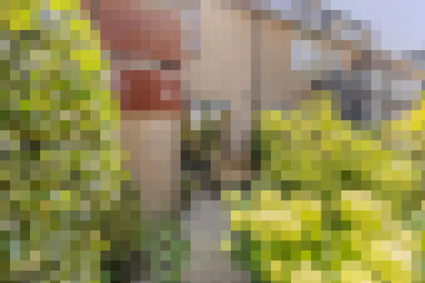 Veeringzoom 30 Koog aan de Zaan thumbnail 37