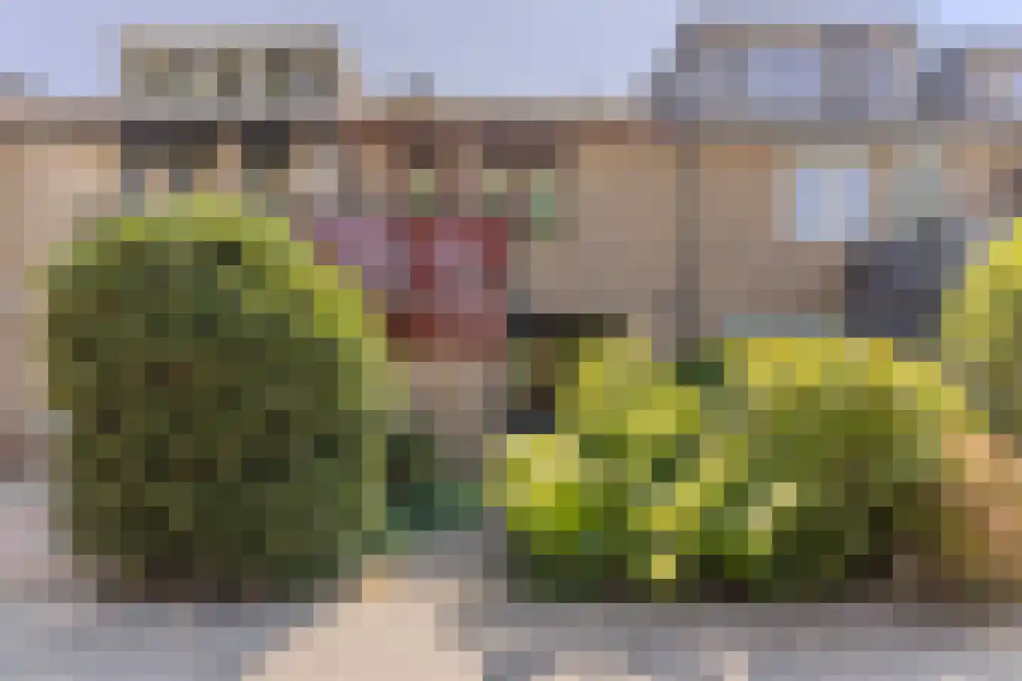 Veeringzoom 30 Koog aan de Zaan thumbnail 38