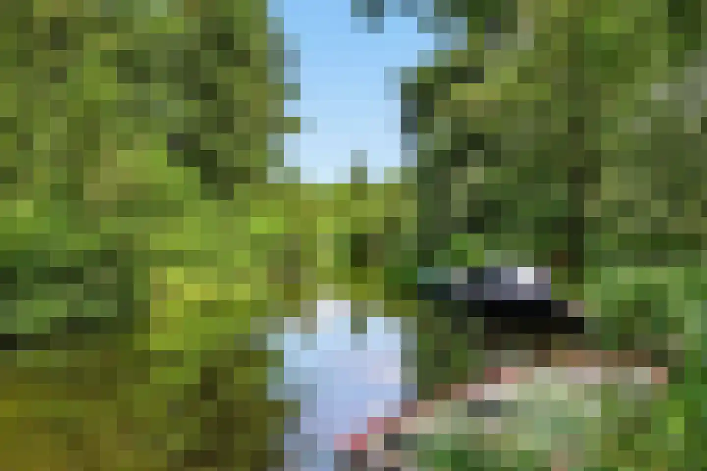 Veeringzoom 30 Koog aan de Zaan thumbnail 4
