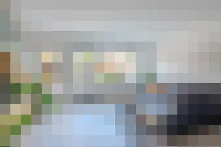Veeringzoom 34 Koog aan de Zaan thumbnail 10