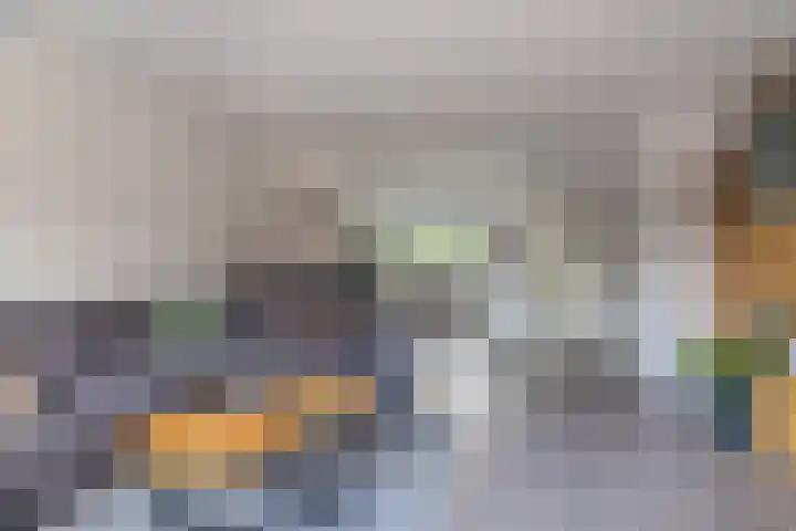 Veeringzoom 34 Koog aan de Zaan thumbnail 11