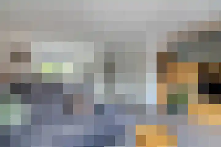 Veeringzoom 34 Koog aan de Zaan thumbnail 12