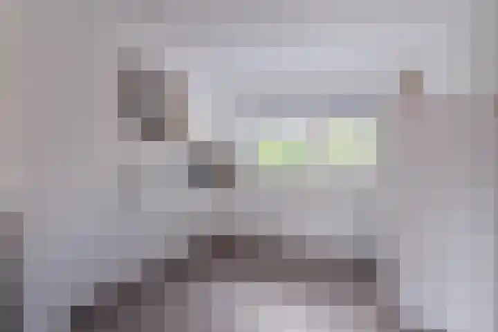 Veeringzoom 34 Koog aan de Zaan thumbnail 14