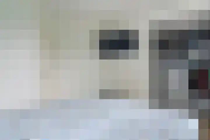 Veeringzoom 34 Koog aan de Zaan thumbnail 18