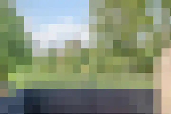 Veeringzoom 34 Koog aan de Zaan thumbnail 20