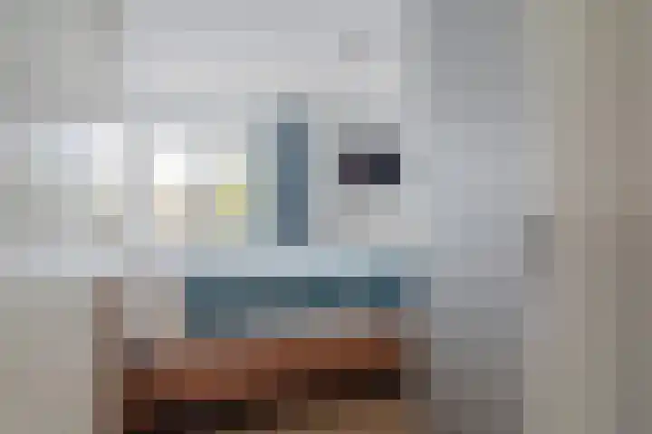 Veeringzoom 34 Koog aan de Zaan thumbnail 21