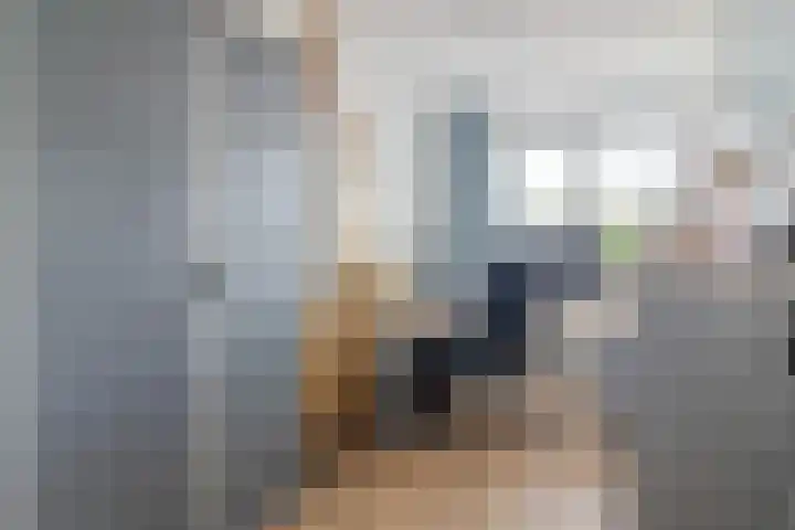 Veeringzoom 34 Koog aan de Zaan thumbnail 23