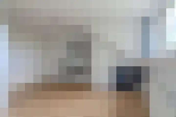 Veeringzoom 34 Koog aan de Zaan thumbnail 28