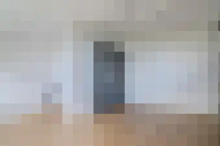 Veeringzoom 34 Koog aan de Zaan thumbnail 29
