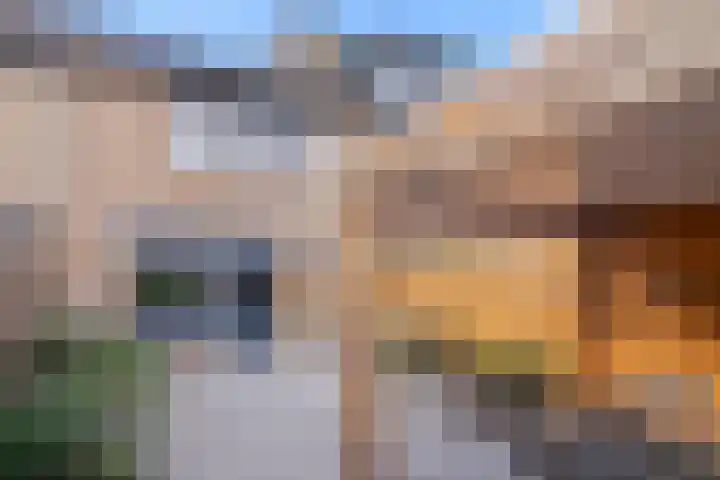 Veeringzoom 34 Koog aan de Zaan thumbnail 32