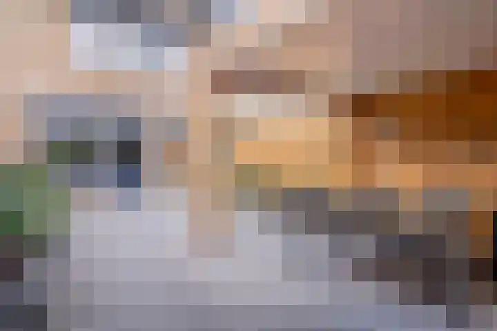 Veeringzoom 34 Koog aan de Zaan thumbnail 33