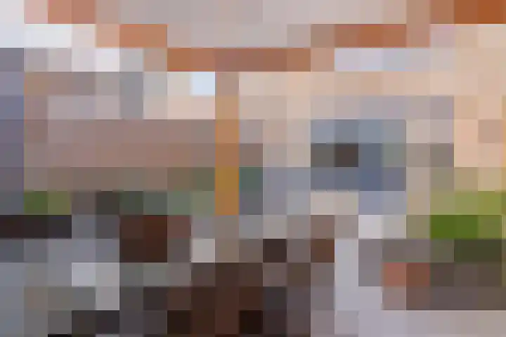 Veeringzoom 34 Koog aan de Zaan thumbnail 34
