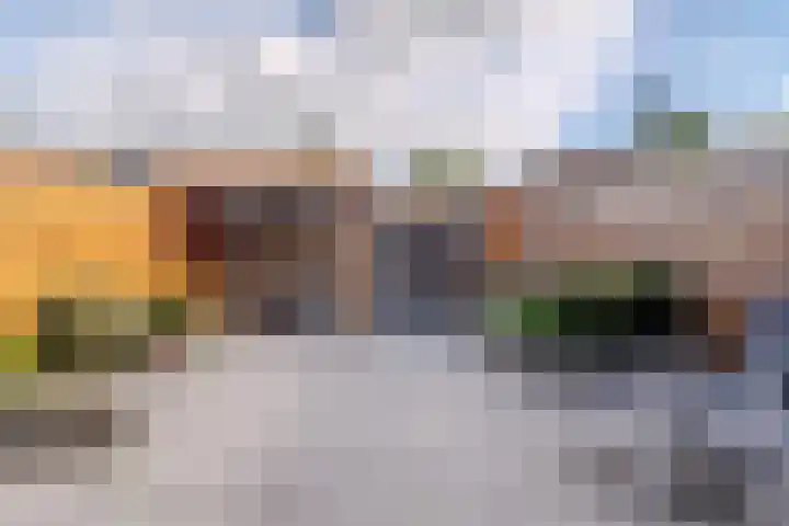 Veeringzoom 34 Koog aan de Zaan thumbnail 37