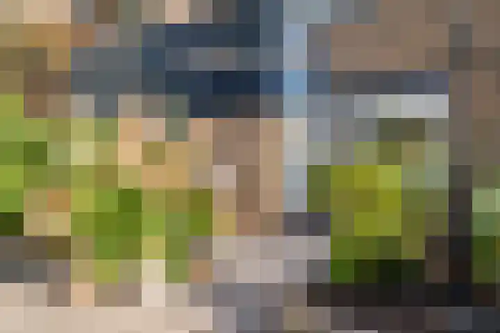 Veeringzoom 34 Koog aan de Zaan thumbnail 5