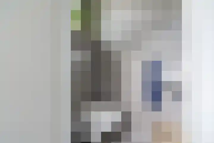 Veeringzoom 34 Koog aan de Zaan thumbnail 7