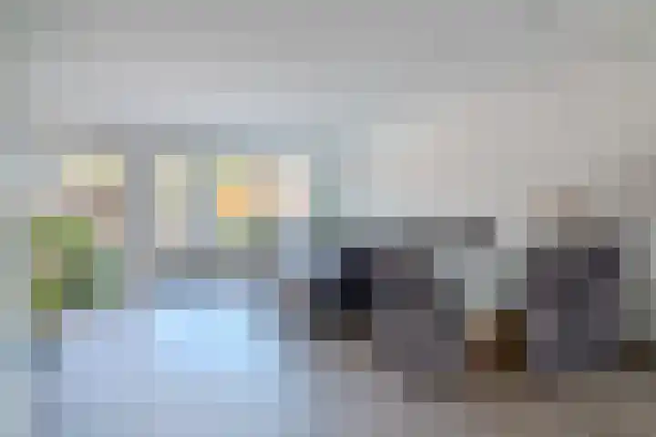 Veeringzoom 34 Koog aan de Zaan thumbnail 8