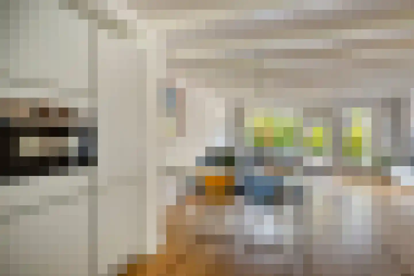 Veeringzoom 52 Koog aan de Zaan thumbnail 13
