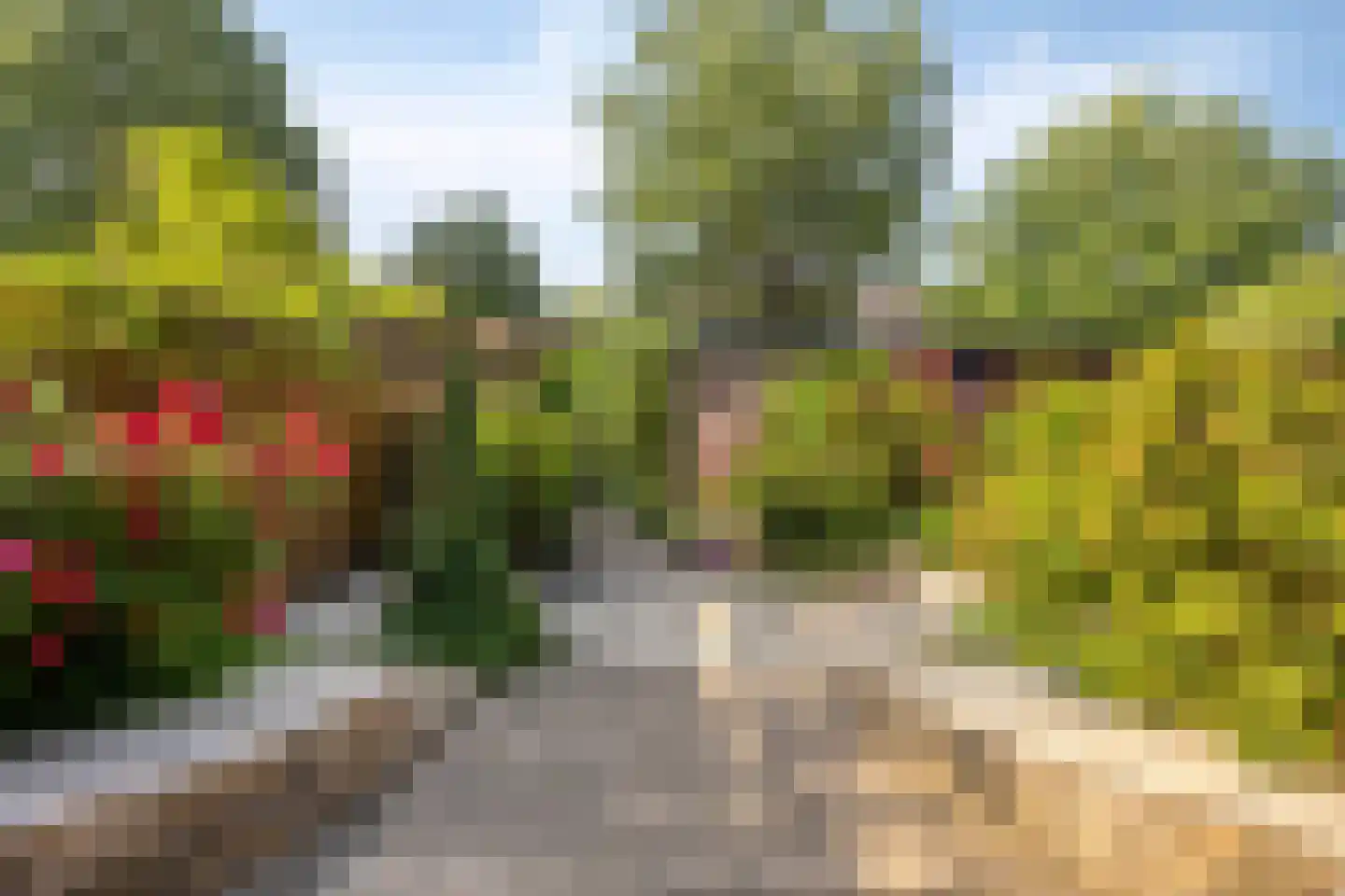 Veeringzoom 52 Koog aan de Zaan thumbnail 17