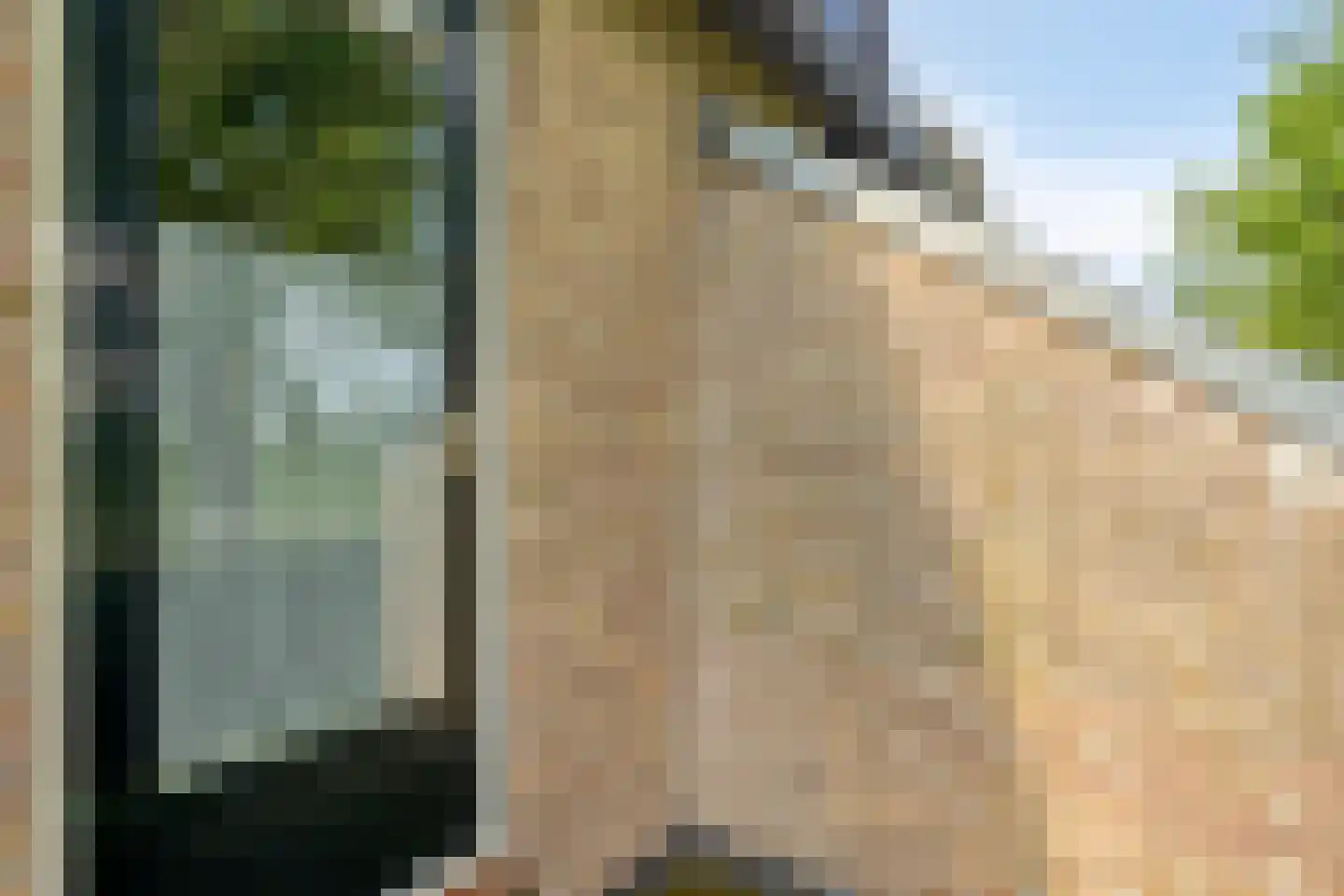 Veeringzoom 52 Koog aan de Zaan thumbnail 31