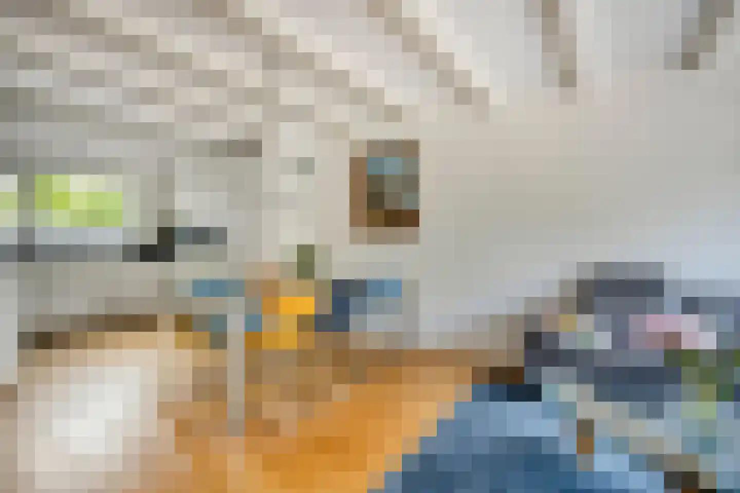 Veeringzoom 52 Koog aan de Zaan thumbnail 4