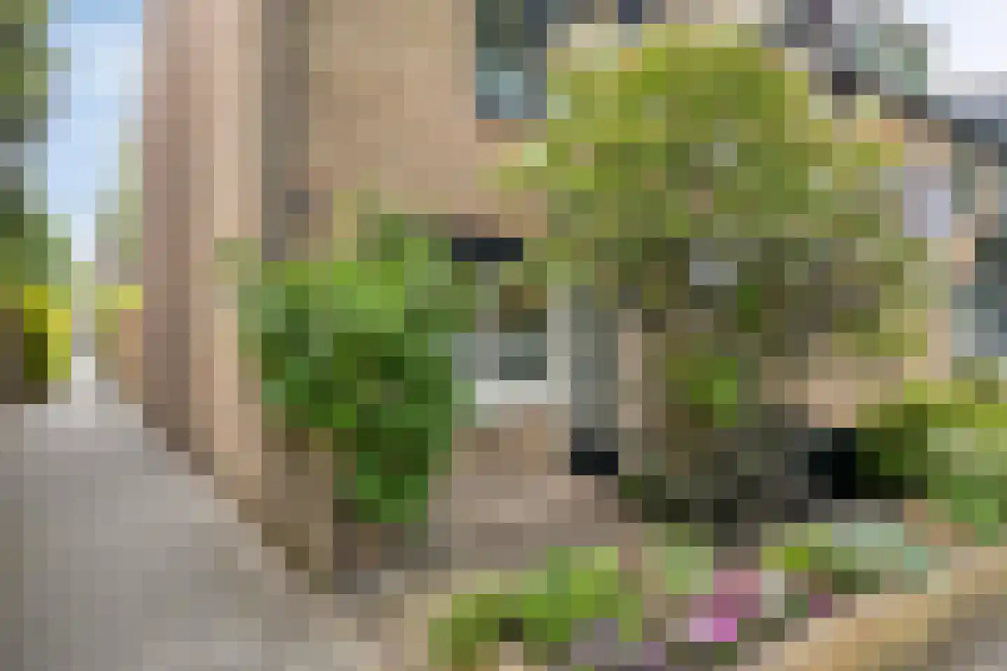 Veeringzoom 52 Koog aan de Zaan thumbnail 43