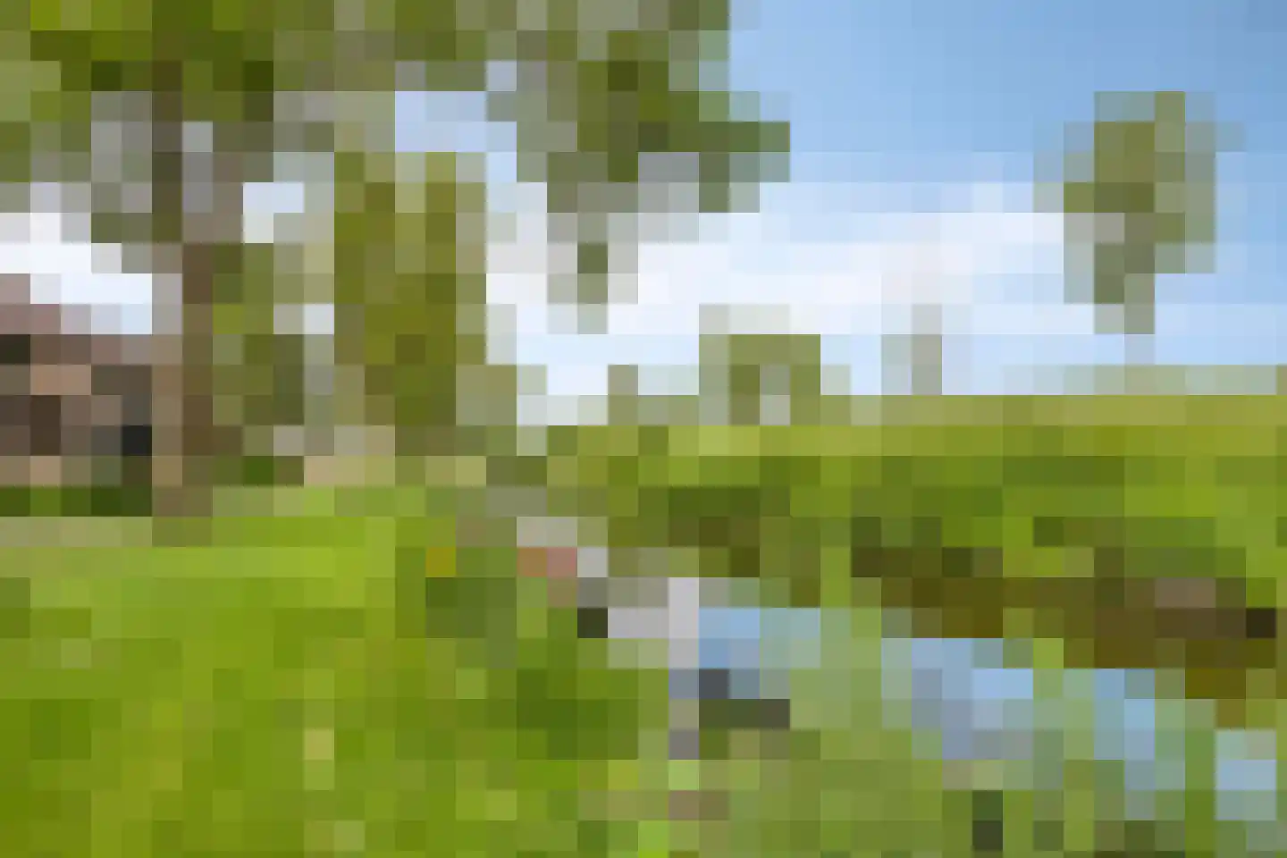 Veeringzoom 52 Koog aan de Zaan thumbnail 52